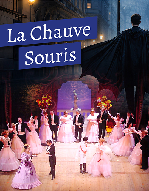 LA CHAUVE SOURIS